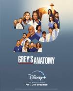Foto: Grey's Anatomy - Copyright: Disney