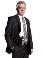 Foto: Tony Denison, Major Crimes - Copyright: TNT