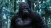 Foto: Grodd - Copyright: Warner Bros. Entertainment Inc.