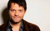 Foto: Castiel - Copyright: Jenny Duckworth Photography