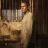 Foto: Promotionbild zu Staffel 5 von "Prison Break", die am 4. April 2017 auf dem US-Sender FOX mit der Ausstrahlung beginnt. (© 2017 FOX Broadcasting Co.; Mathieu Young / FOX)